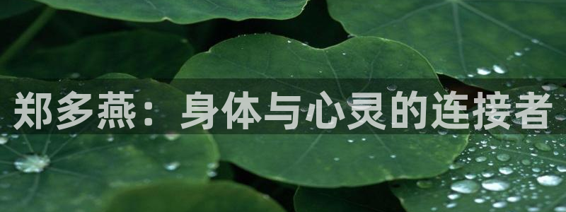 龙8国际是真的吗