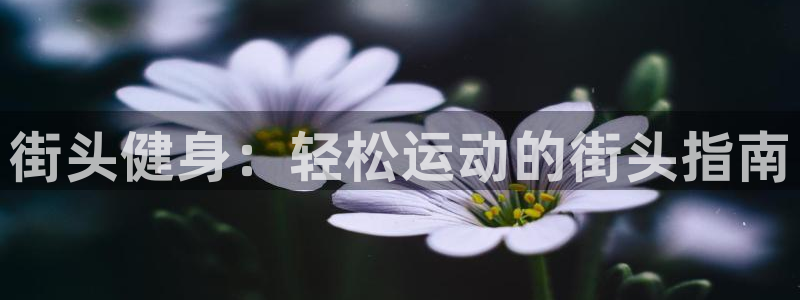 龙8国际登录网址推荐ag87253