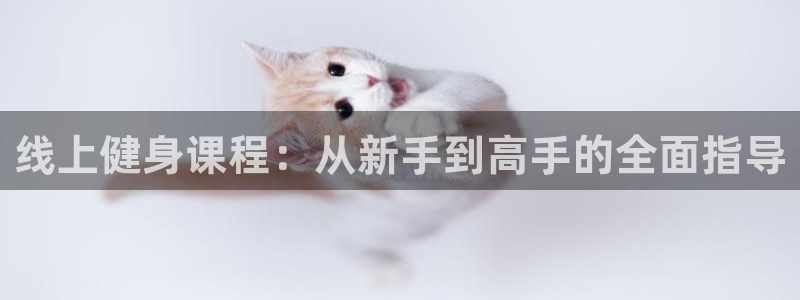 龙8国际网页版下载