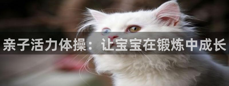 龙8游戏官方网站s