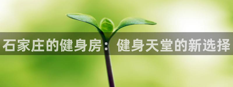 龙8国际官方网站手机版