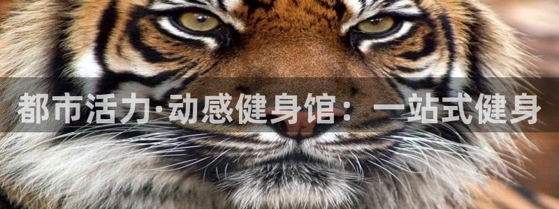 龙八国际官网下载