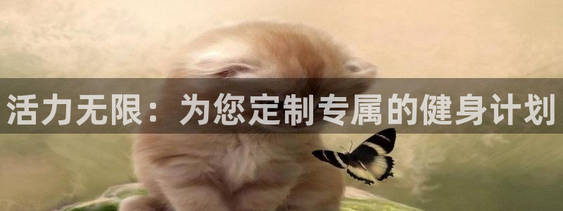 龙8国际官方网址下载