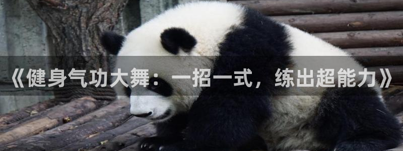 龙8国际官网版手机版