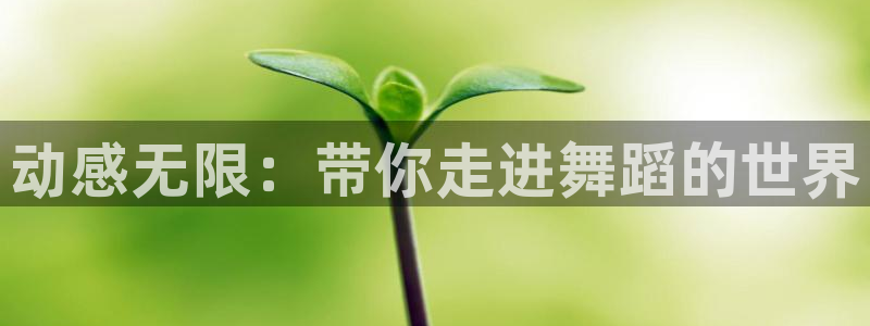 龙8国际害死多少人