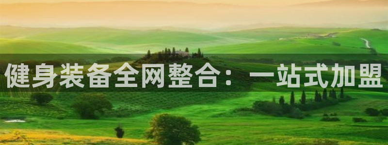 龙八国际手机客户端