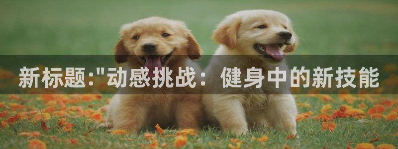 龙8国际为啥改名叫头号玩家了