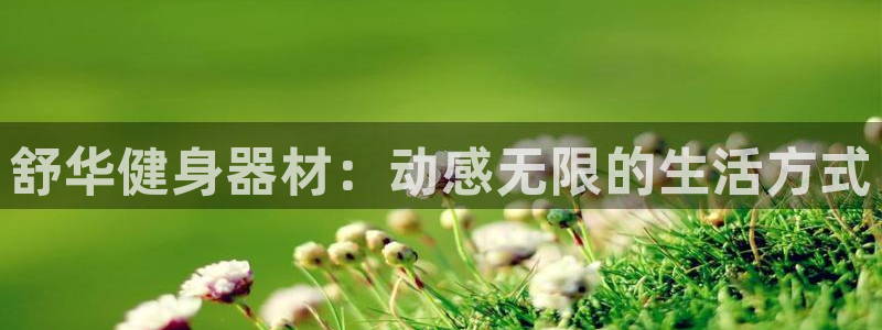 龙8国际登录网址推荐ag87253